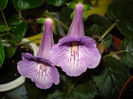 DSC09777