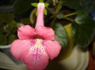 DSC09779