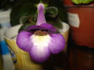 DSC09780