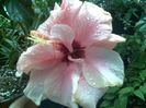 Imag046
