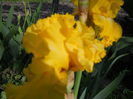 DSCN0201