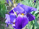 DSCN0207