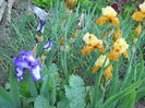 DSCN0242