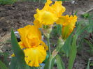 DSCN0256