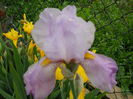DSCN0260