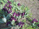 DSCN3234