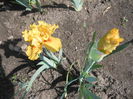 DSCN3237