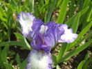 DSCN3239