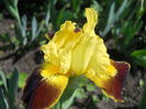 DSCN3242