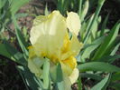 DSCN3244
