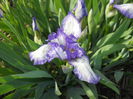 DSCN3245