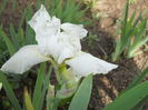 DSCN3249