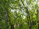 DSCN3253