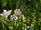 DSCN3254