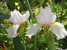 DSCN3260
