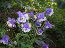 DSCN3262