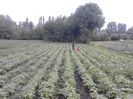 IMG_20140621_195942