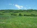 in natura 010