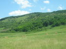 in natura 011