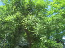 in natura 015