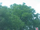 in natura 022