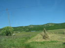 in natura 024