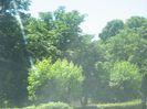 in natura 025