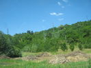 in natura 029