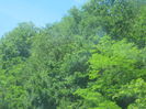 in natura 030