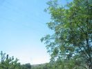 in natura 031