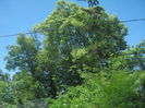 in natura 041