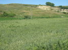 in natura 045