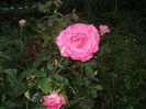 DSC04552