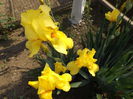 DSCF6773
