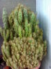 22062014073