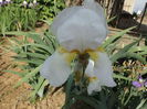 DSCF6794