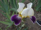 DSCF7008