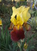DSCF7017