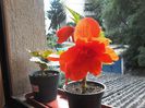20140621_171621
