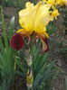 DSCF7019