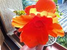 20140621_171705