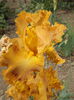 DSCF7076