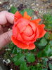 IMG_20140616_101407