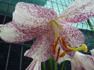IMG_20140617_112404