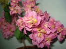 DSC09820