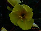 DSC05215