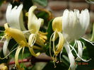 DSC05054