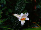 DSC05206