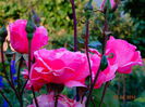 DSC05208