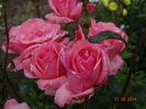 DSC05248